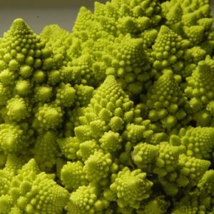 chouromanesco