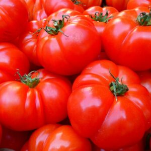 tomatecoeurdeboeuf